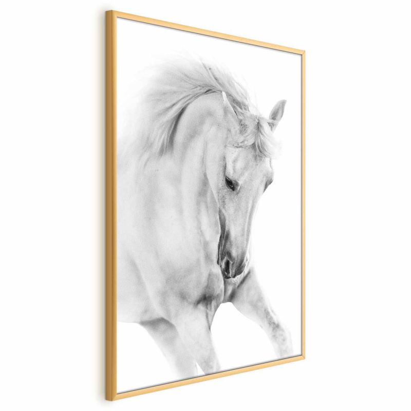 Plakat Artgeist Biały koń 21x30 cm z ramą złotą 1 szt