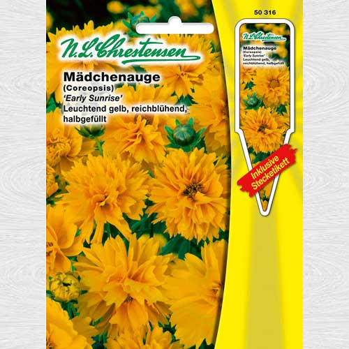 1 pac, Coreopsis Early Sunrise - Semințe: Mod de ambalare: 1 pac
