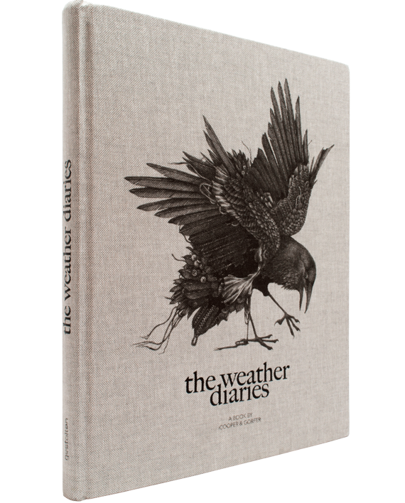 Weather Diaries