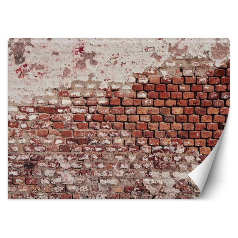 Fototapeta Feeby Stary ceglany mur 150x105 1 szt