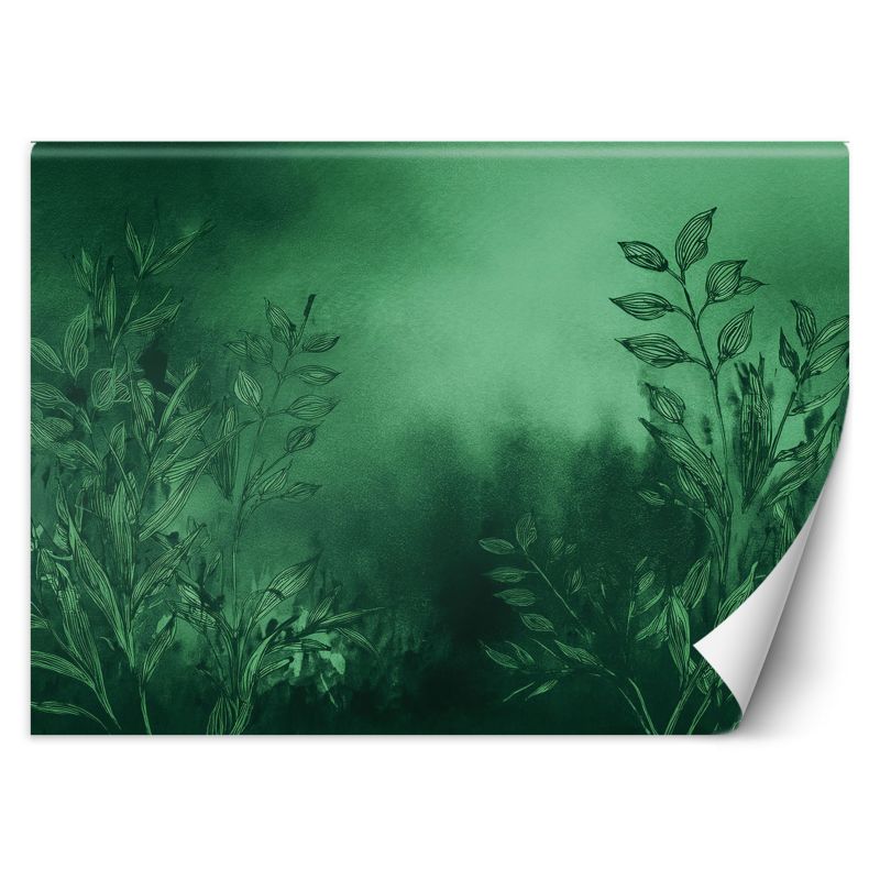 Fototapeta Feeby Łąka Zielony Botanika 200x140 1 szt