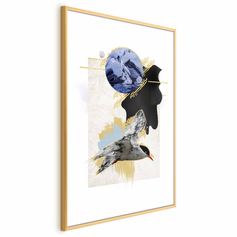 Plakat Artgeist Rybitwa antarktyczna 40x60 cm z ramą złotą 1 szt