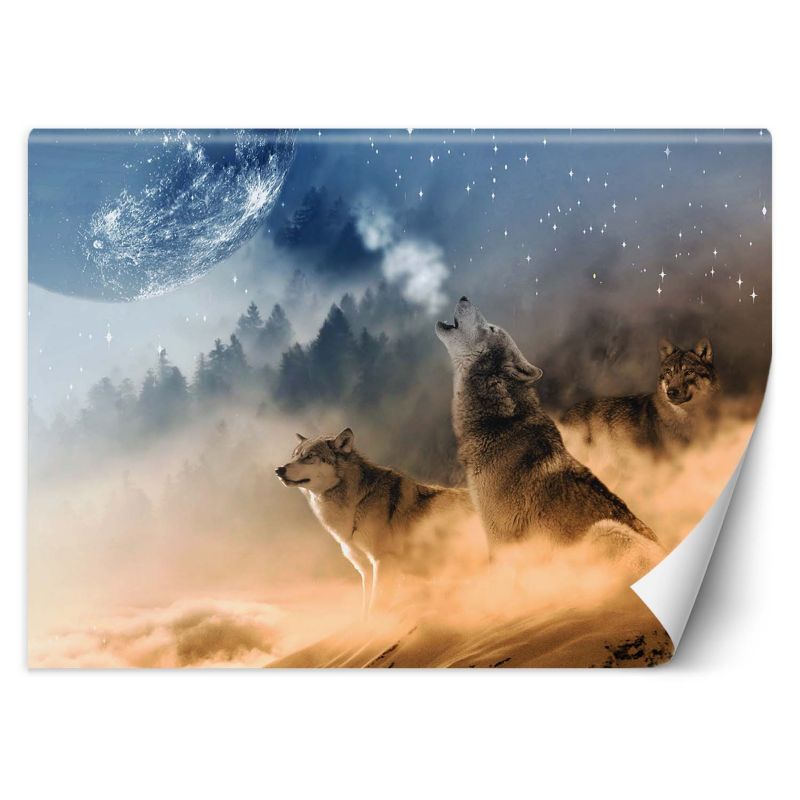 Fototapeta Feeby Wilki las we mgle 150x105 1 szt