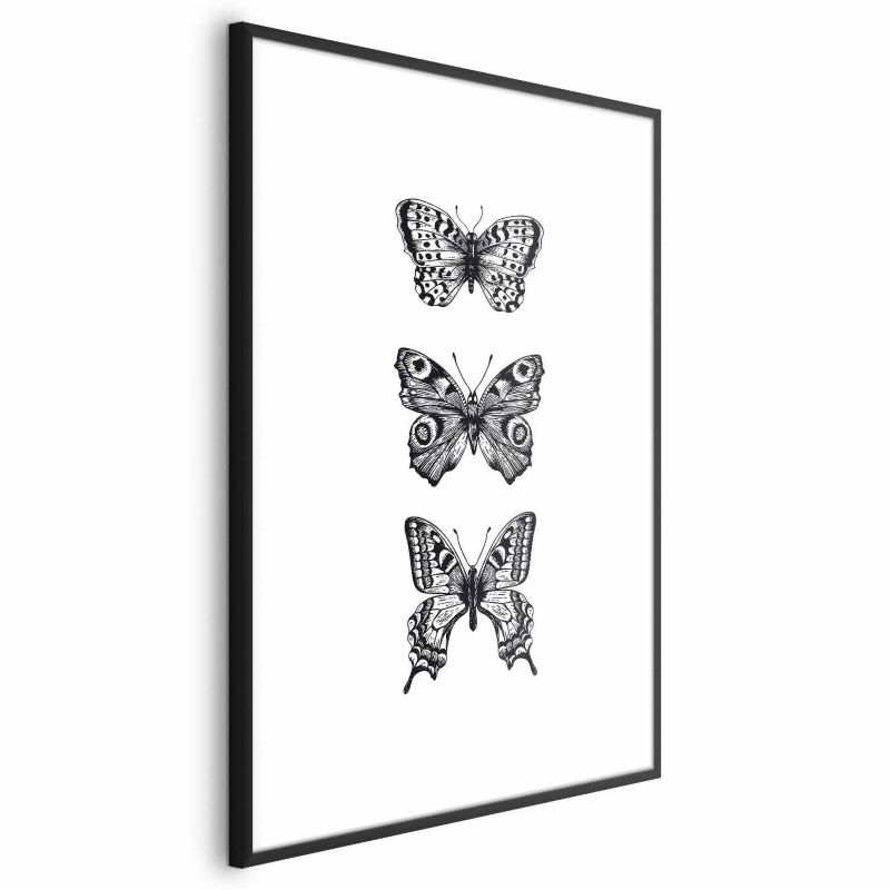 Plakat Artgeist Trzy motyle 40x60 cm z ramą czarną 1 szt