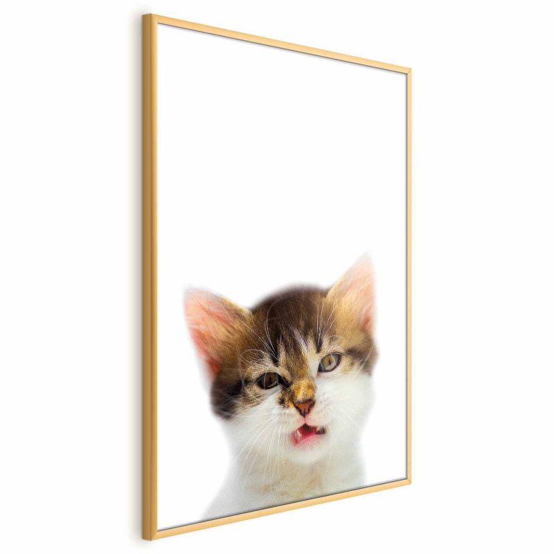 Plakat Artgeist Zirytowany kot 40x60 cm z ramą złotą 1 szt