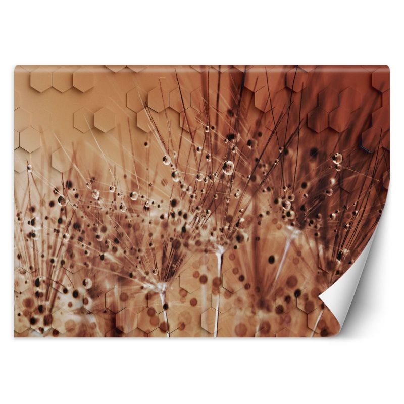 Fototapeta Feeby Dmuchawce w kroplach rosy 400x280 1 szt