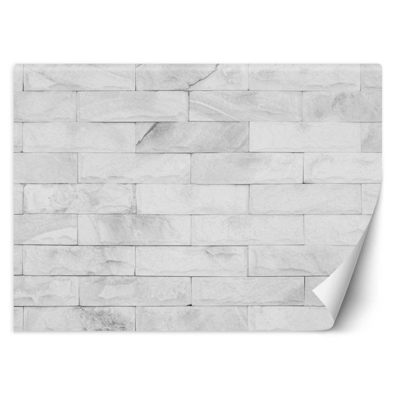 Fototapeta Feeby Białe cegły 150x105 1 szt