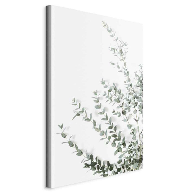 Obraz Artgeist Eukaliptus Parvifolia 60 x 90 cm flizelina 1 szt