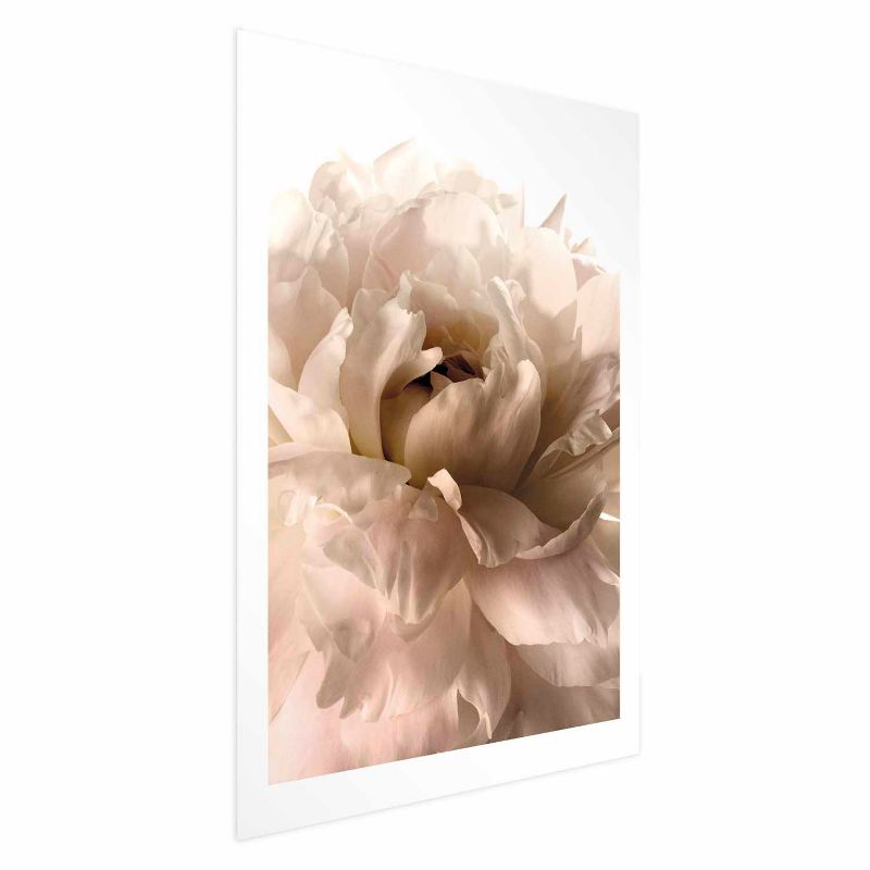 Plakat Artgeist Miękkie płatki 40x60 cm bez ramy 1 szt