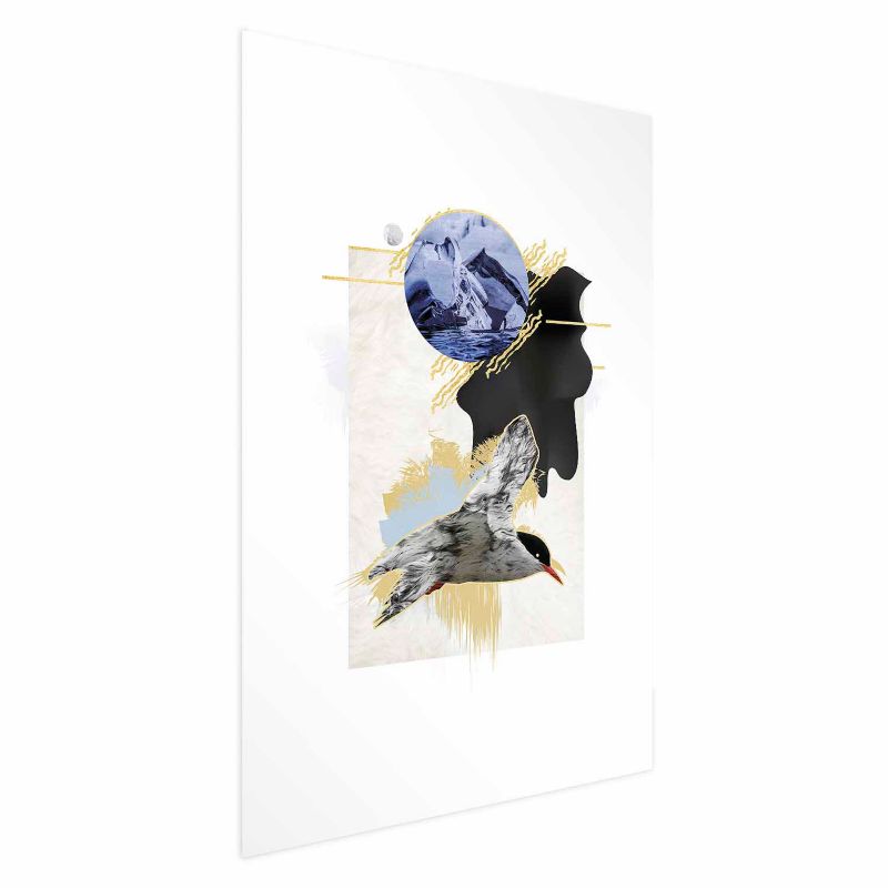 Plakat Artgeist Rybitwa antarktyczna 40x60 cm bez ramy 1 szt