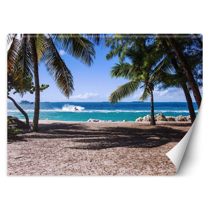 Fototapeta Feeby Piaszczysta plaża pomiędzy palmami 100x70 1 szt