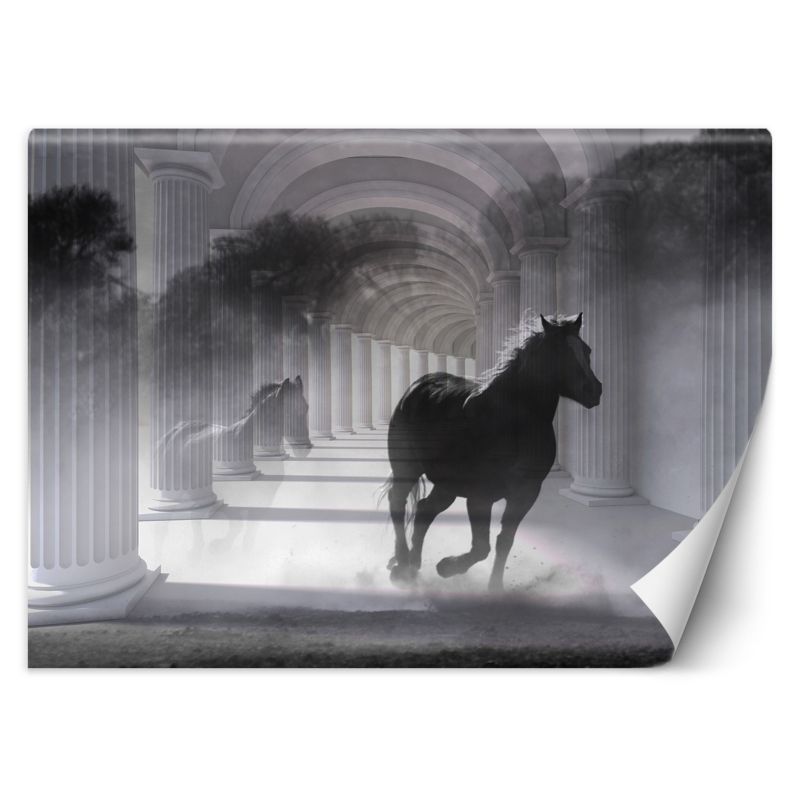Fototapeta Feeby Tunel biegnący koń efekt 3D 368x254 1 szt