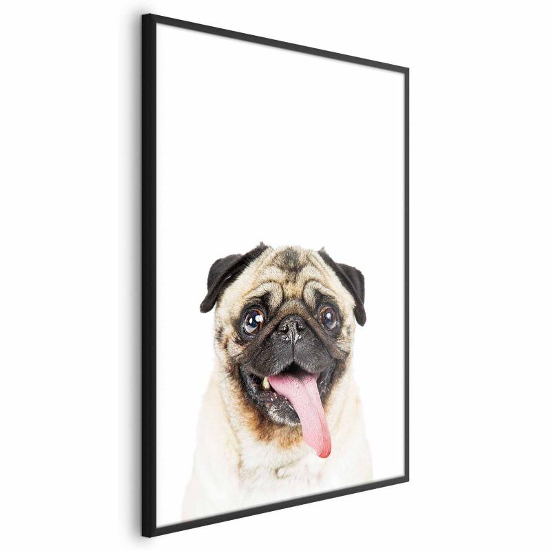 Plakat Artgeist Mops 29,7x42 cm z ramą czarną 1 szt