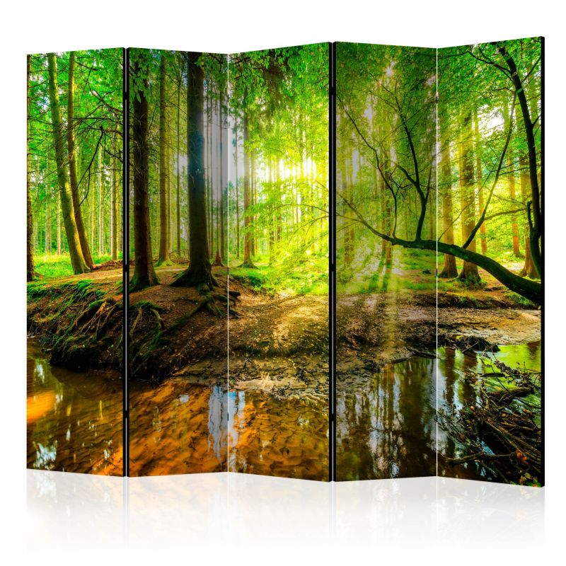 Parawan dwustronny Artgeist Pejzaże 225x172 cm Pejzaże 1 szt