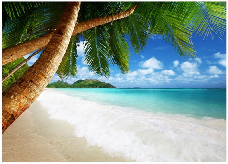 Fototapeta Na Flizelinie WALLARENA 350x250 cm Tapeta Do Sypialni Plaża Morze 1 szt.