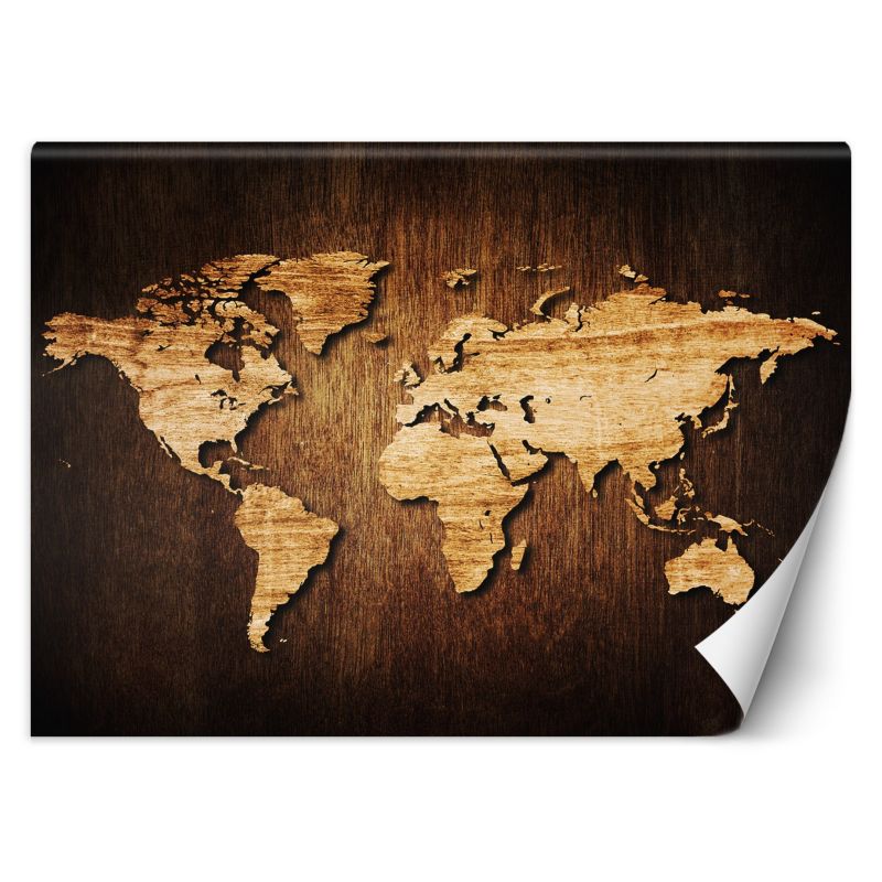 Fototapeta Feeby Mapa świata na drewnie 150x105 1 szt