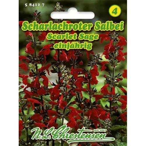 Szałwia szkarłatna Scarlet Sage - Nasiona. Ilość w opakowaniu: 1 opak - GradinaMax