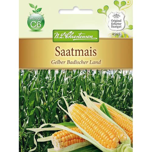 1 pac, Porumb furajer Yellow Baden country - Semințe: Mod de ambalare: 1 pac