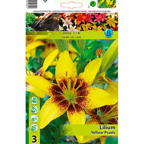2 buc, Crin Yellow Pixels - Bulbi: Mod de ambalare: 2 buc