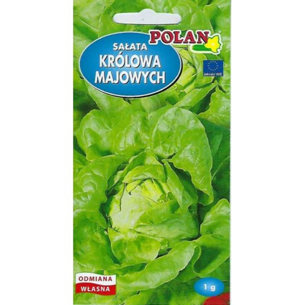 Nasiona Sałata masłowa Królowa Majowych 1g