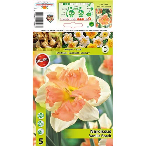 5 kus, Narcis Vanilla Peach - : Monžstvo balíkov: 5 kus