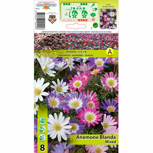 8 Stück, Anemone Blanda Mixed - Zwiebeln: Ilość w opakowaniu: 8 Stück