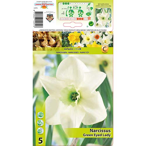 5 Stück, Narzisse Green Eyed Lady - Blumenzwiebeln: Ilość w opakowaniu: 5 Stück