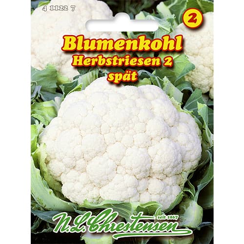 1 szt, Blumenkohl Herbstriesen 2 - Samen: Ilość w opakowaniu: 1 Stück
