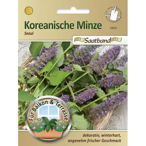 1 szt, Koreanische Minze - Samen: Ilość w opakowaniu: 1 Stück