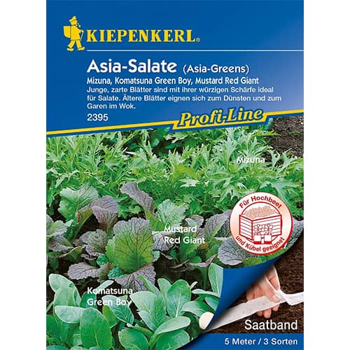 1 szt, Asia - Salate (Saatband) Kiepenkerl - Samen: Ilość w opakowaniu: 1 Stück