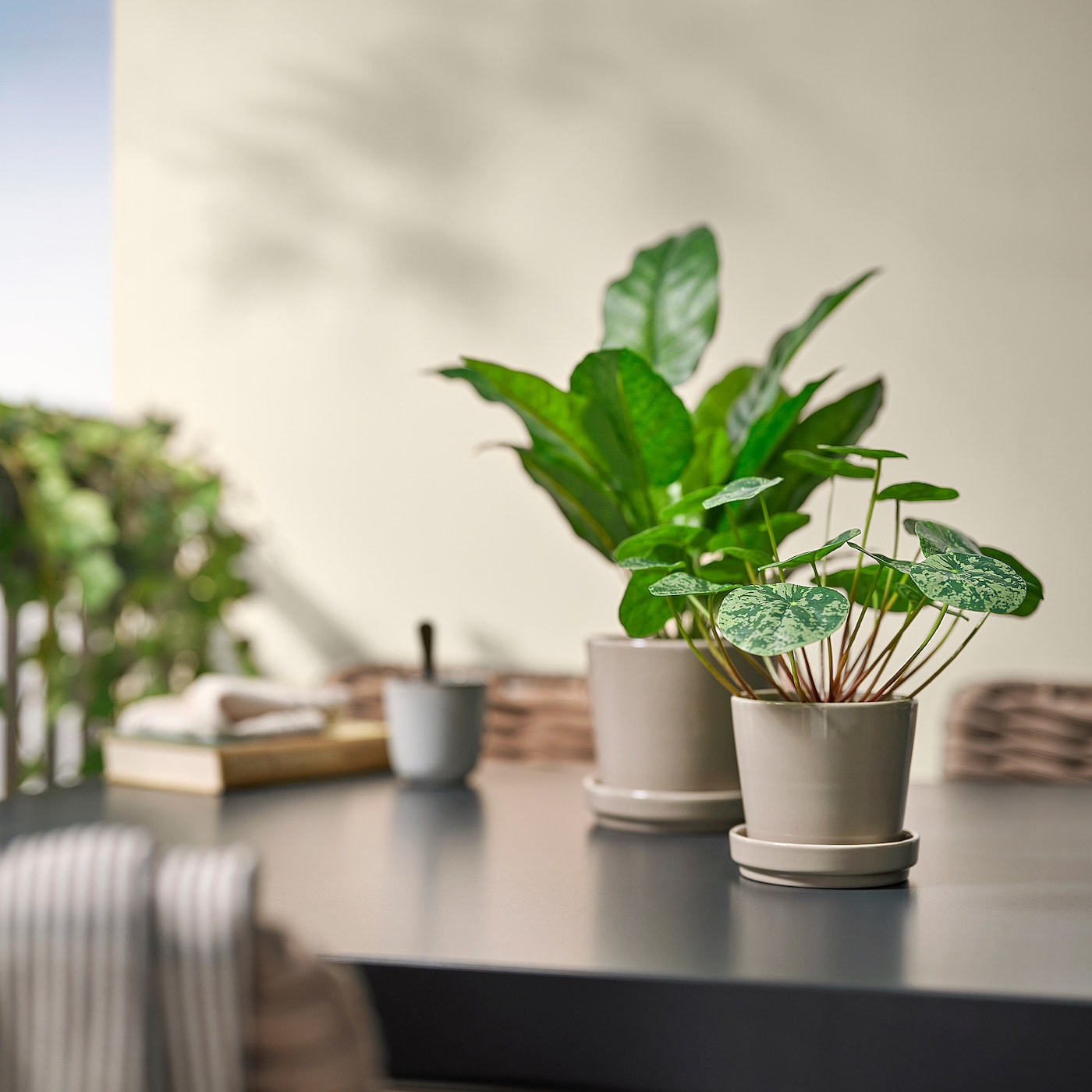 IKEA FEJKA sztuczna roślina doniczkowa, do wewnątrz/na zewnątrz Pilea, 9 cm