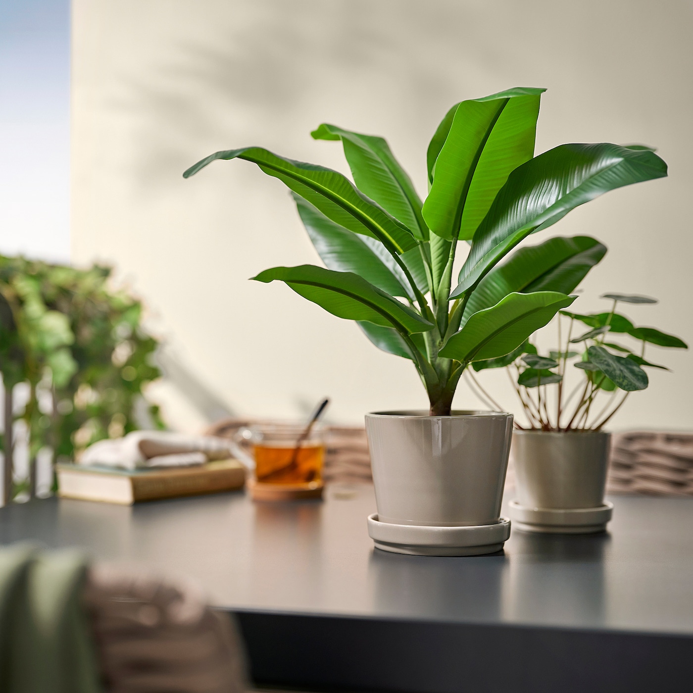 IKEA FEJKA sztuczna roślina doniczkowa, do wewnątrz/na zewnątrz bananowiec, 12 cm