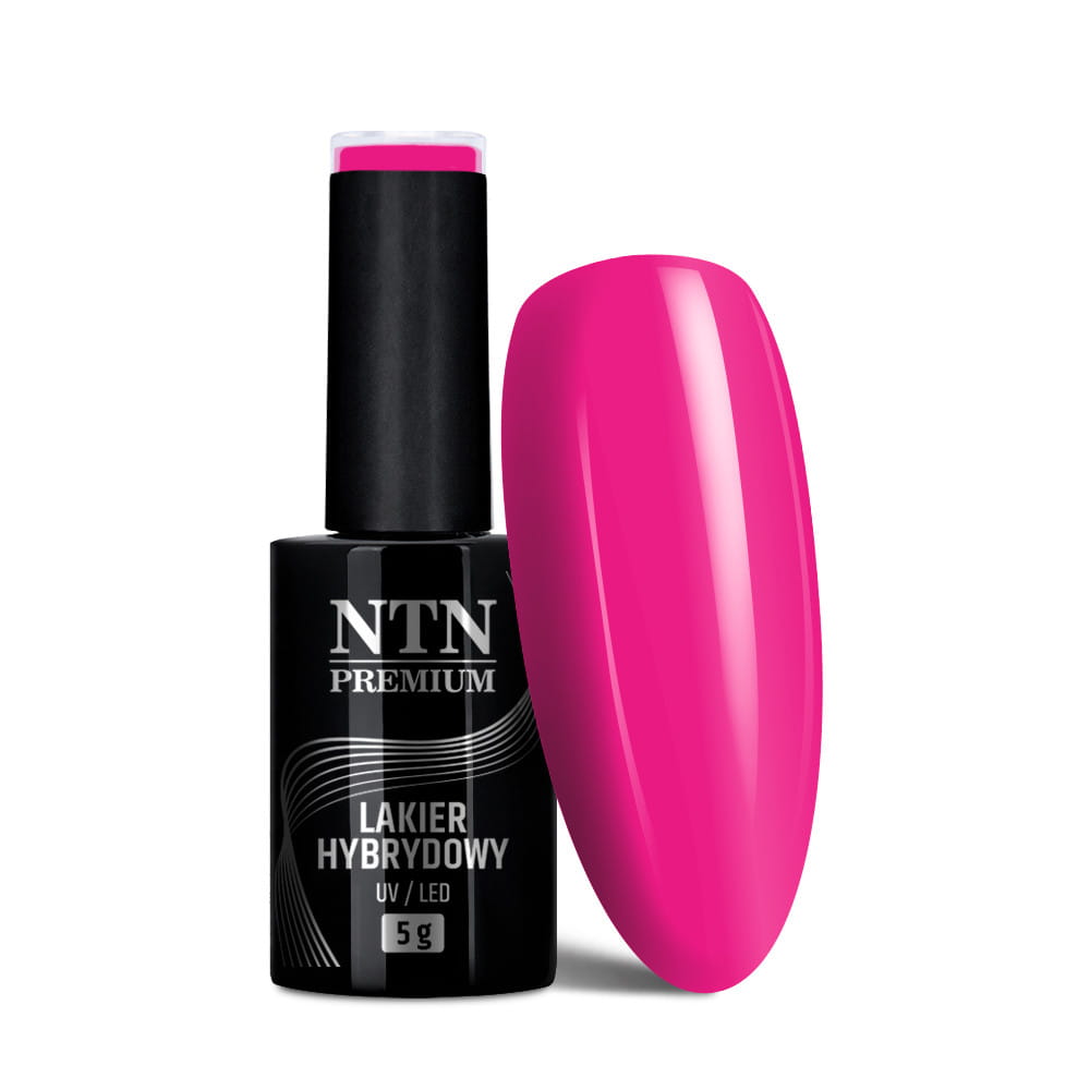 Lakier hybrydowy Ntn Premium Design Your Style Collection 5 g Nr 40