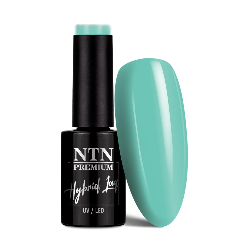 Lakier hybrydowy Ntn Premium Soft Touch Collection 5 g Nr 08