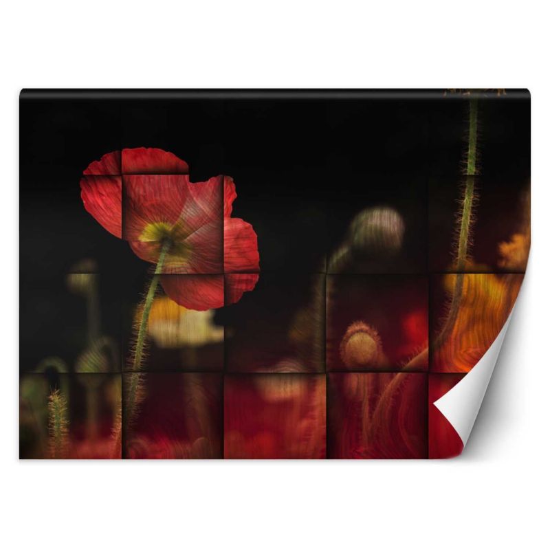 Fototapeta Feeby Czerwone maki kwiaty 150x105 1 szt