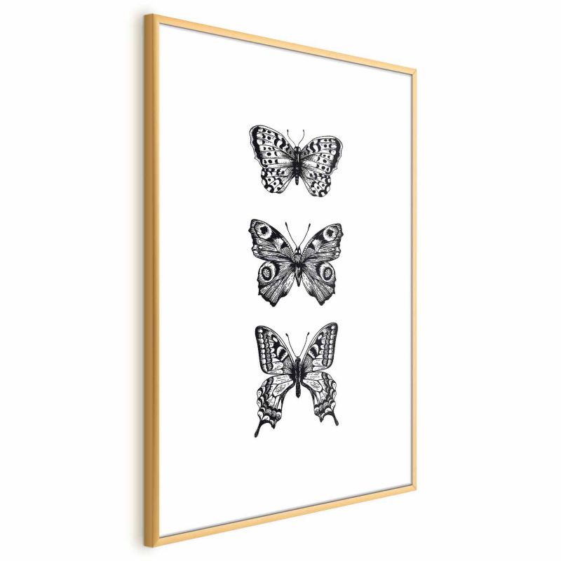 Plakat Artgeist Trzy motyle 40x60 cm z ramą złotą 1 szt