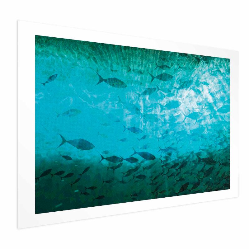 Plakat Artgeist Gromada ryb 90x60 cm bez ramy 1 szt
