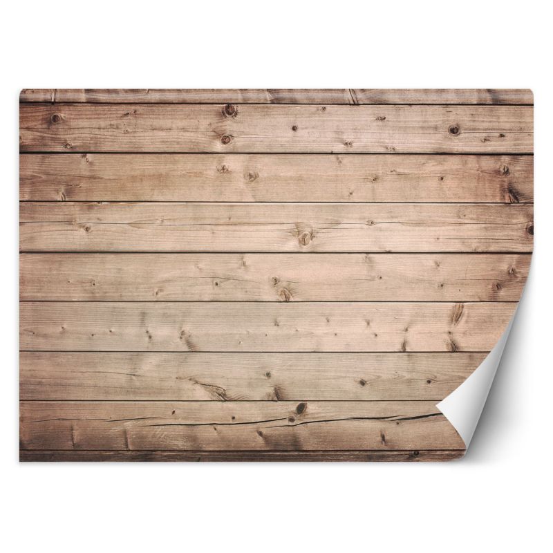 Fototapeta Feeby Deski tło 200x140 1 szt