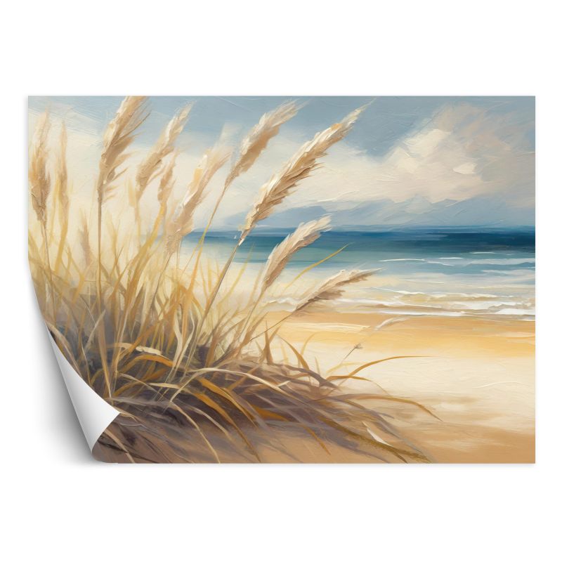 Fototapeta Feeby Plaża morska Przyroda Krajobraz 100x70 1 szt