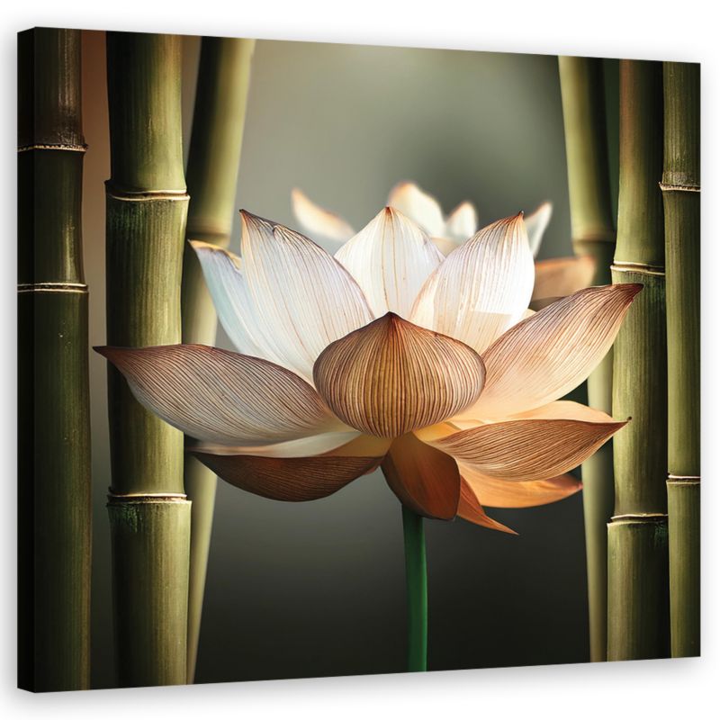 Obraz do salonu sypialni Feeby Kwiat Zen Bambus 50x50 cm 1szt