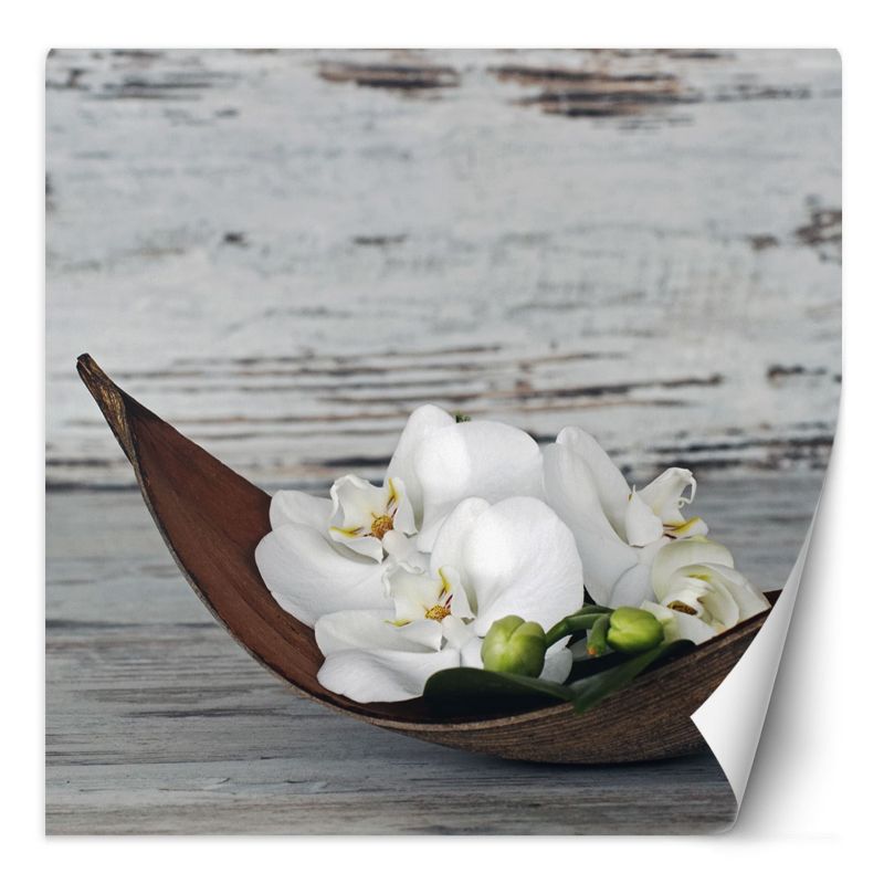 Fototapeta Feeby Kwiaty białej orchidei na tle starej deski 250x250 1 szt