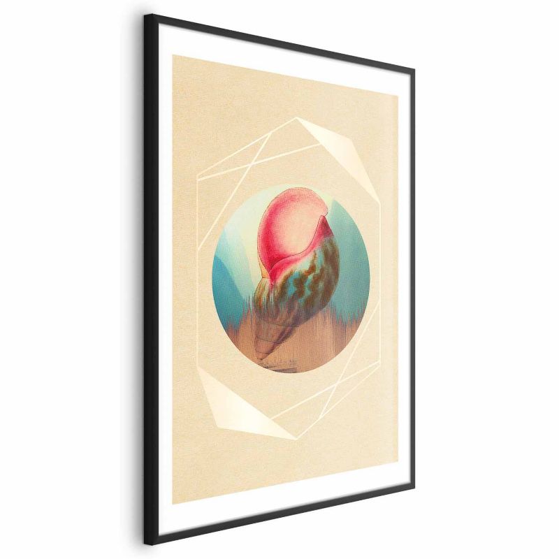 Plakat Artgeist Muszla 21x30 cm z ramą czarną 1 szt