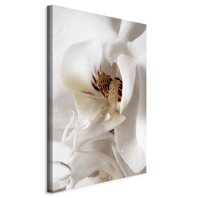 Obraz Artgeist Kropla marzenia 40 x 60 cm płótno włoskie 1 szt