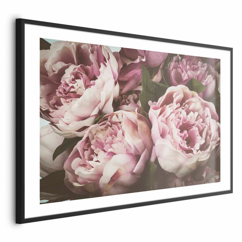 Plakat Artgeist Różowe piwonie 30x21 cm z ramą czarną 1 szt