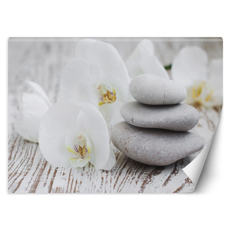 Fototapeta Feeby Kwiaty kamienie zen 350x245 1 szt