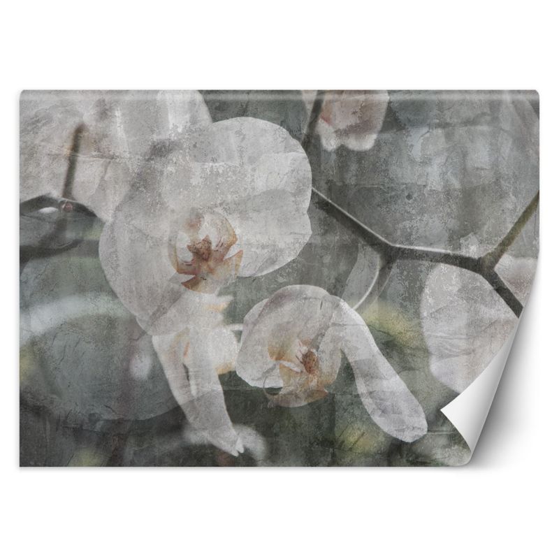 Fototapeta Feeby Orchidea vintage 200x140 1 szt