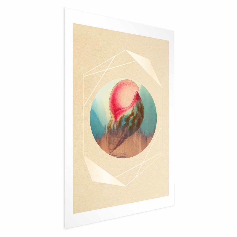 Plakat Artgeist Muszla 40x60 cm bez ramy 1 szt
