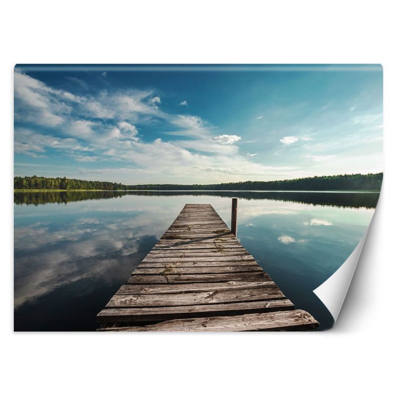 Fototapeta Feeby Widok z pomostu na jezioro i las 254x184 1 szt