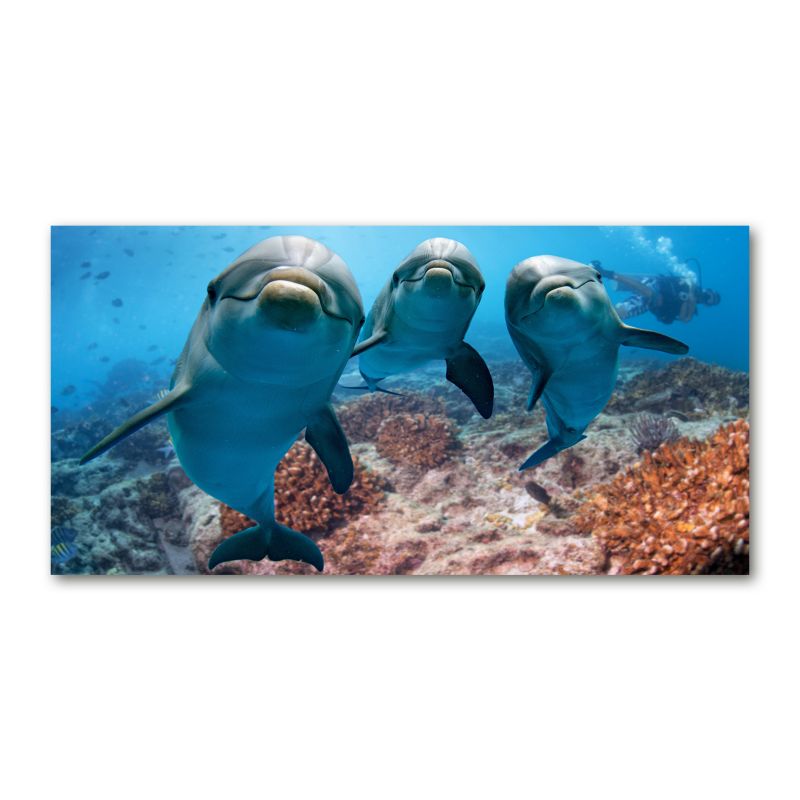 Obraz canvas Tulup Delfiny 140x70 cm 1 szt.
