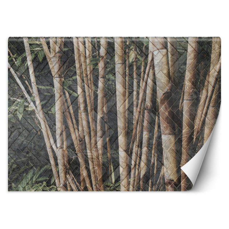 Fototapeta Feeby Bambusowy las 350x245 1 szt